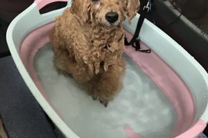 12月のお友達☆