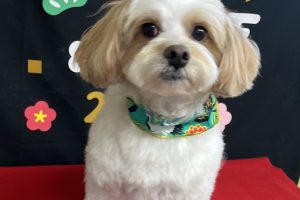 12月のお友達☆