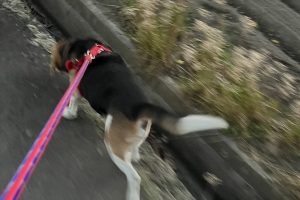 お泊り☆