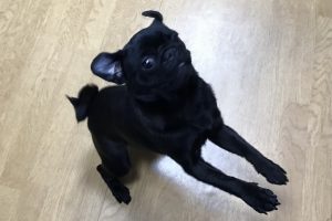 お泊り☆