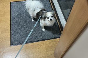 お泊り☆