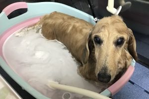 12月のお友達☆
