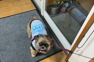お泊り中☆