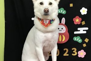 1月のお友達☆