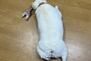 1月のお友達☆