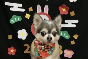 1月のお友達☆