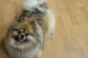 1月のお友達☆お泊り☆