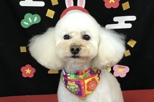 1月のお友達☆