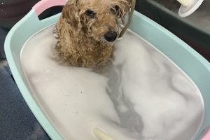 1月のお友達☆