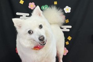 1月のお友達☆