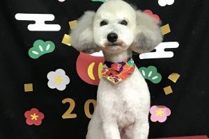 1月のお友達☆