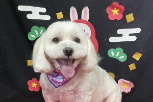 1月のお友達☆