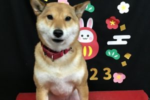 1月のお友達☆