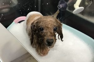 1月のお友達☆