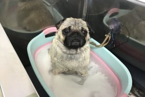 1月のお友達☆