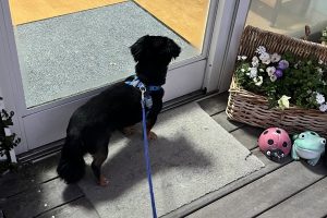 お泊り中☆