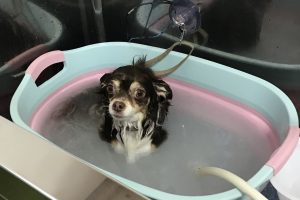 1月のお友達☆