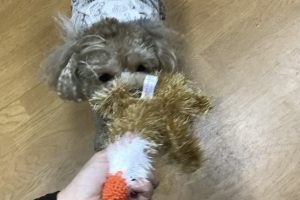 お泊り中☆