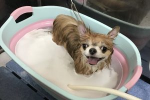 1月のお友達☆
