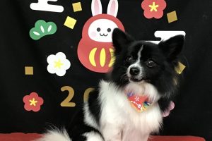 1月のお友達☆