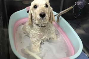 1月のお友達☆