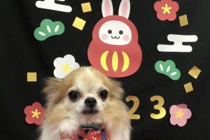 1月のお友達☆