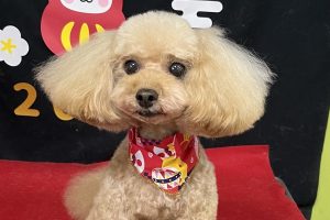1月のお友達☆