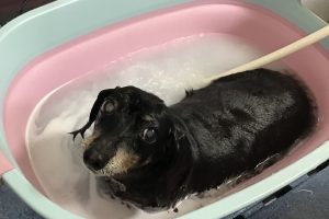 1月のお友達☆