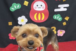 1月のお友達☆