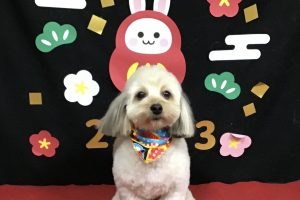 1月のお友達☆