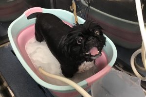 1月のお友達☆