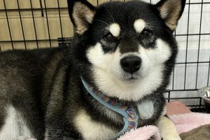 お泊まり☆