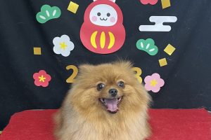 1月のお友達☆