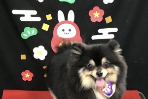 1月のお友達☆