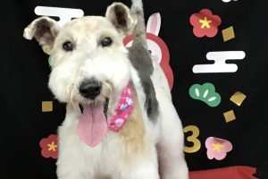 1月のお友達☆