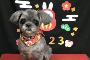 1月のお友達☆