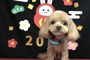 1月のお友達☆
