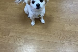 お泊り中☆