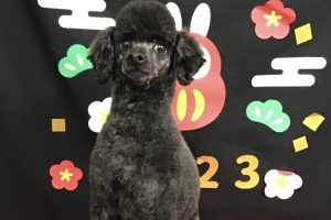 1月のお友達☆