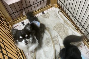 お泊り中☆