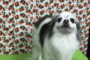 2月のお友達☆