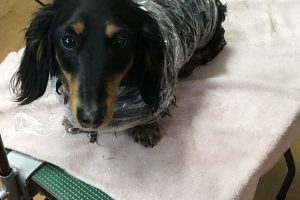 2月のお友達☆