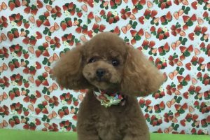 2月のお友達☆