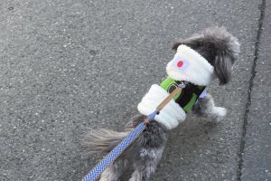お泊り中☆