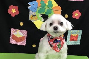 2月のお友達☆