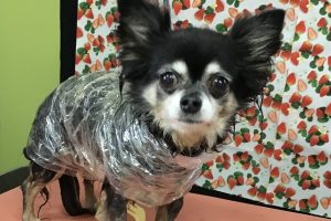 2月のお友達☆