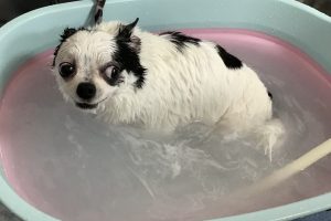 2月のお友達☆