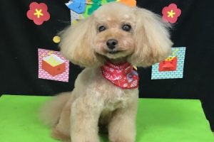 2月のお友達☆