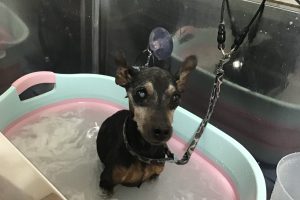 2月のお友達☆