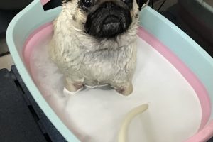 2月のお友達☆